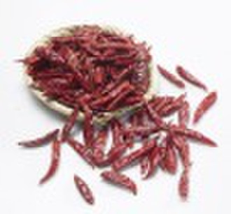 2009 HOT CHAOTIAN CHILI
