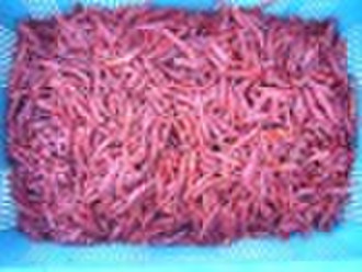 2009 HOT CHAOTIAN CHILI