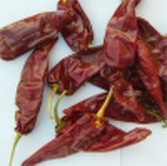 Yidu Chili