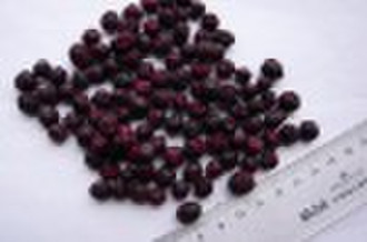 Freeze Dried Blueberry