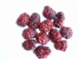 Freeze Dried Blackberry