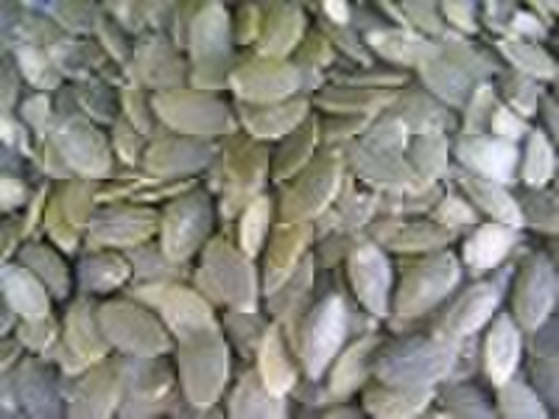 pumpkin seeds kernels