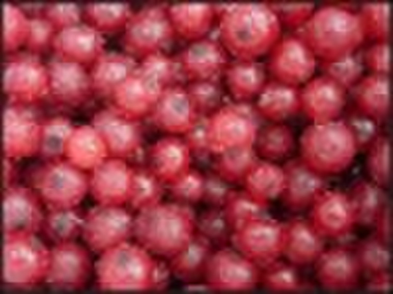 BRC.HACCP gefrorenen schwarzen und roten Johannisbeeren