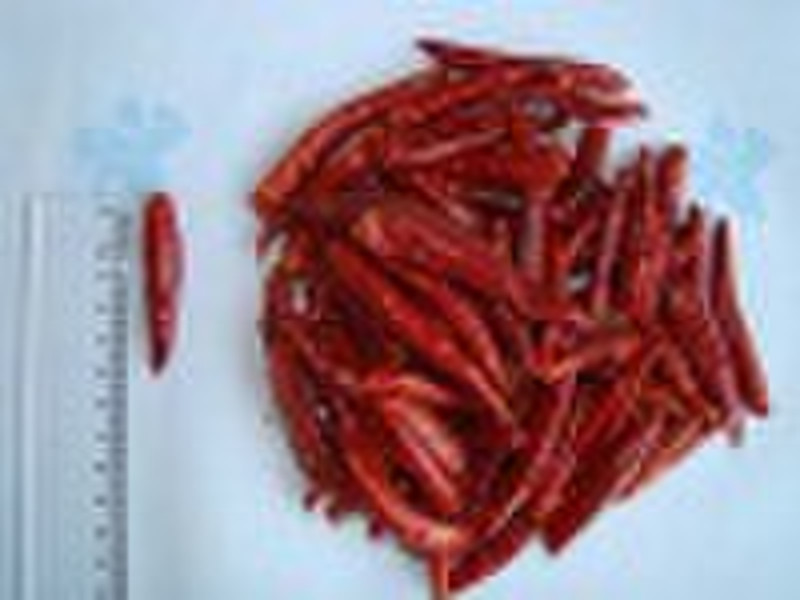 Hot Sale: 2009 crop Hot Chilies, Chaotian Chili, S