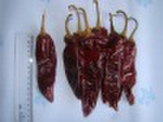 2009 crop dry American Red Chilli, chilli; America