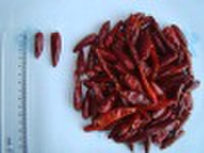 Hot Sale: Bullet chilli, Hot Chilies, Small Red Ho