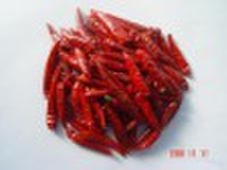Hot Sale: 2009 crop Hot Chilies, Chaotian Chili, S