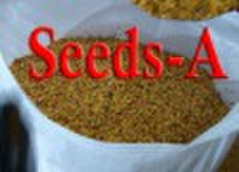 chili seeds