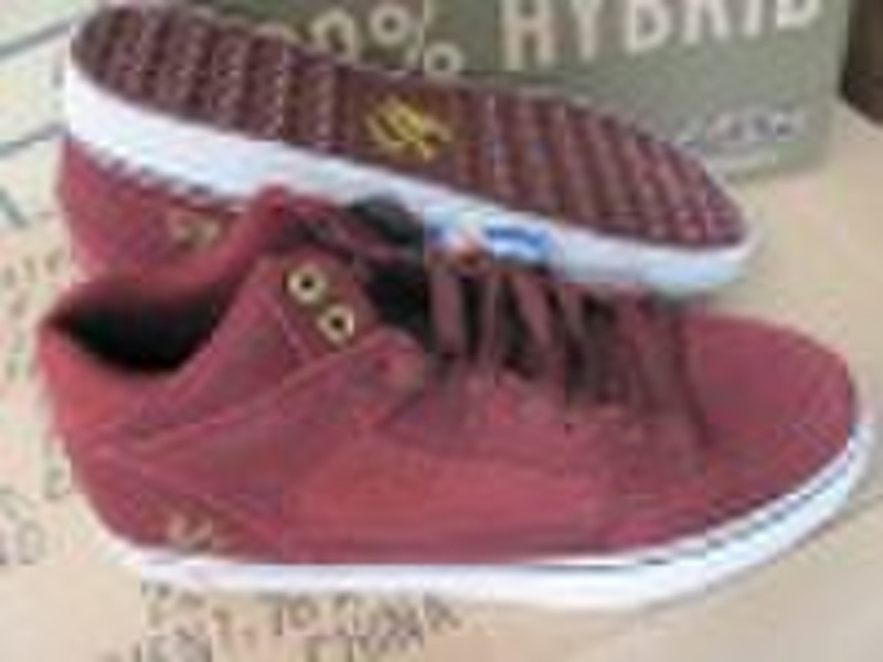 lakai DVS shoes