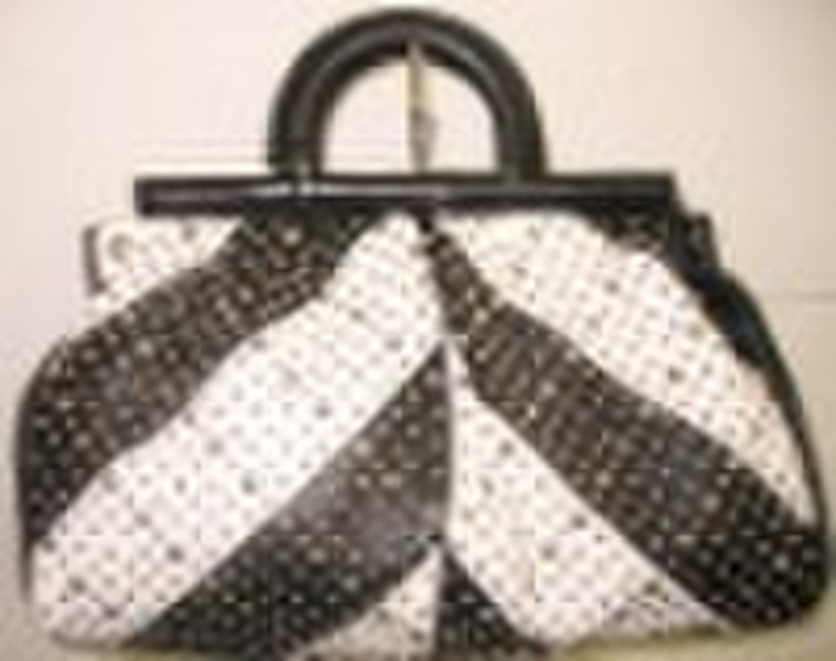 2010 New Hotsale  Fashion Tote Bag(BM-6232)