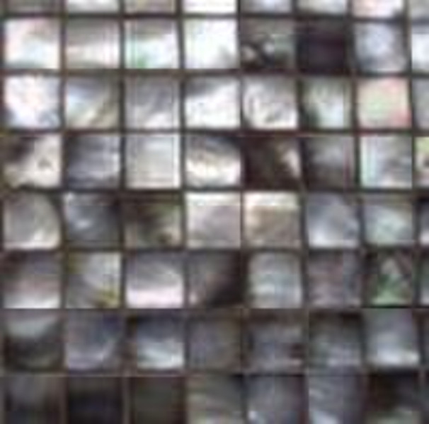 black lip shell composite mosaic