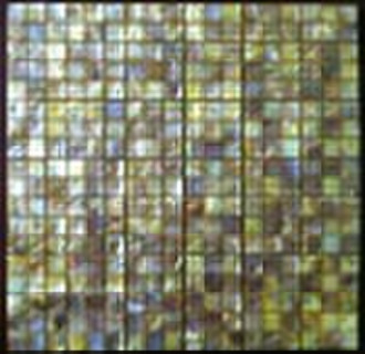 dappled shell composite mosaic