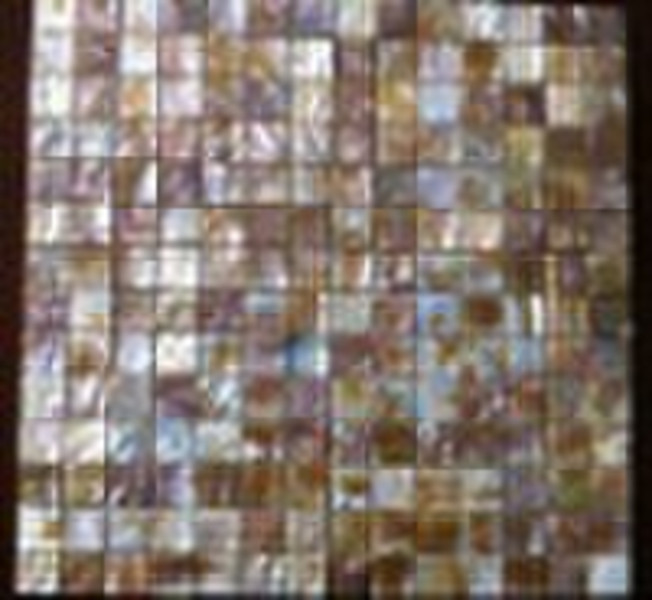 dappled fresh water shell composite mosaic