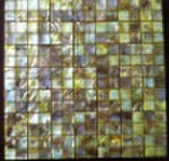 dappled shell composite mosaic