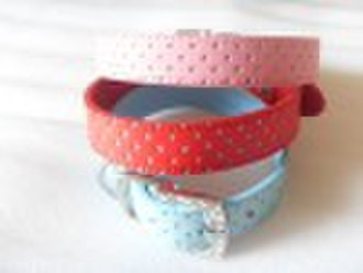 fashionable pet collar/pet leashes