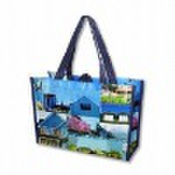 2010 New design Shopping Bag