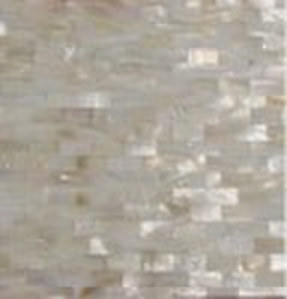 Freshwater Shell mosaic