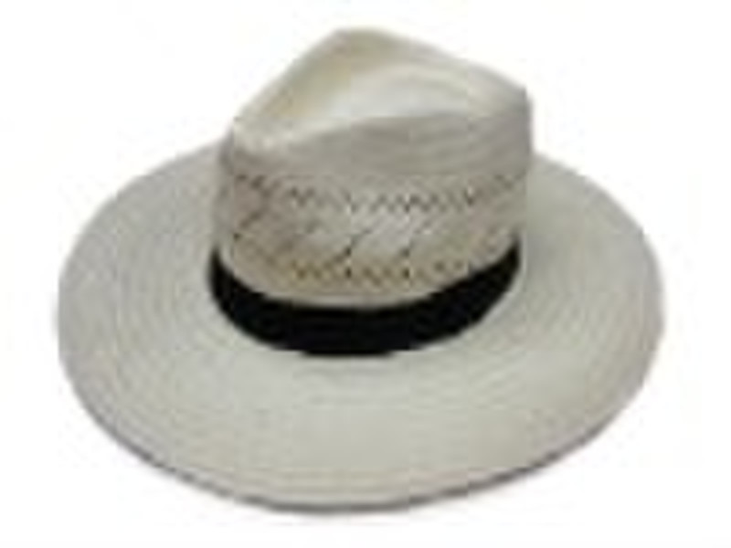 new panama hat