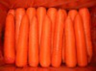Chinese Fresh Red Carrot
