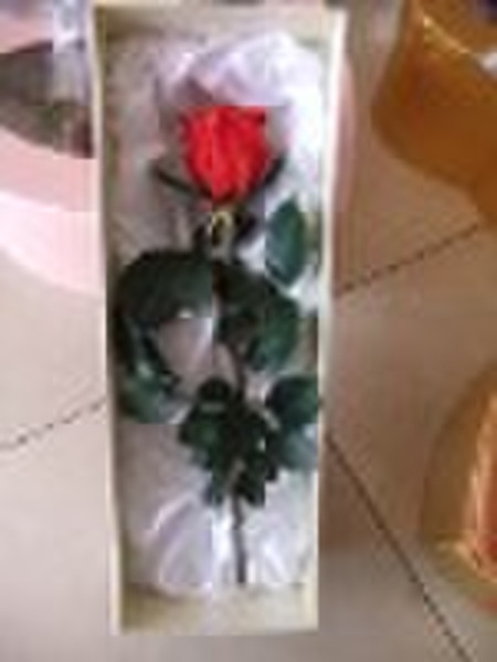 preserved natural rose with stem