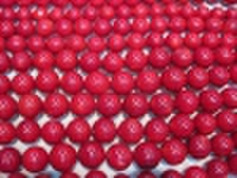 Red Coral