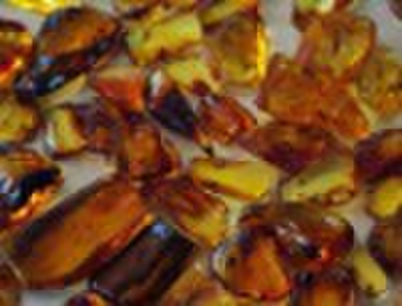 Natural amber with insect