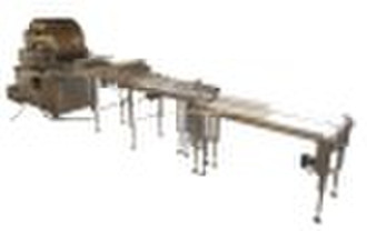 6QP-12060 gas powered spring roll sheet machine