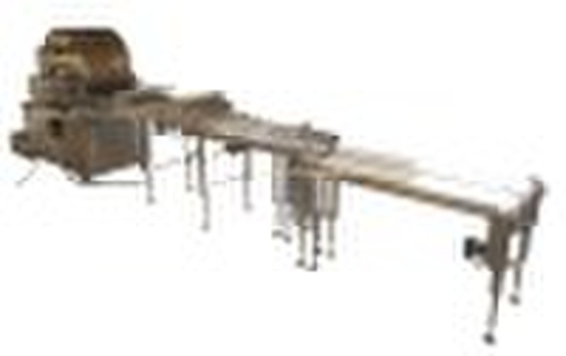 6QP-12060 gas powered spring roll sheet machine