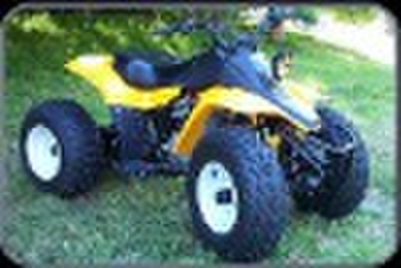 Quad/ATV/Pickup/Sport quad/hunting quad/hunting ca