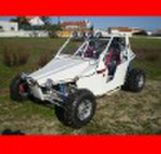 1100cc Dune Buggy (4x4)