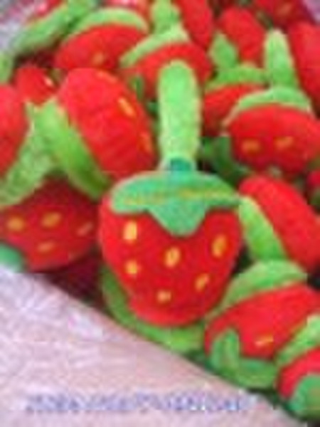 2010 FASHION Plush earmuffs