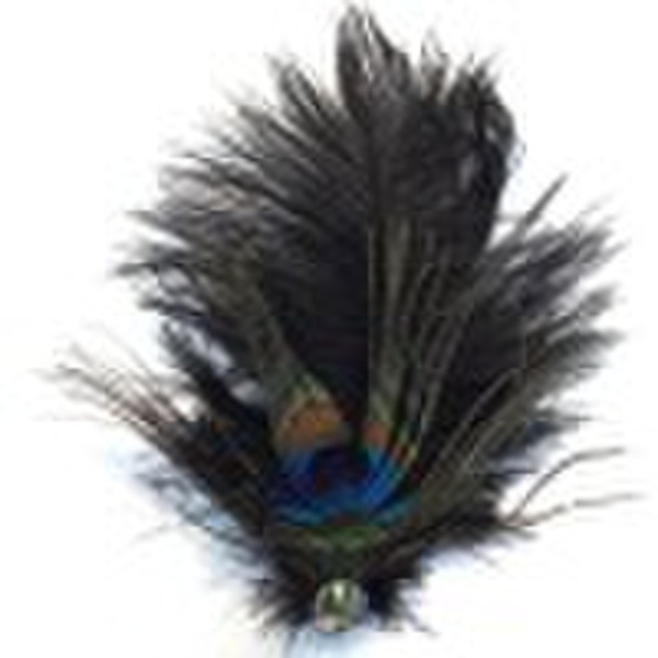 Peacock Feather Brooch