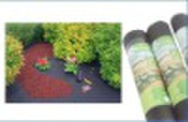 Weed control fabric