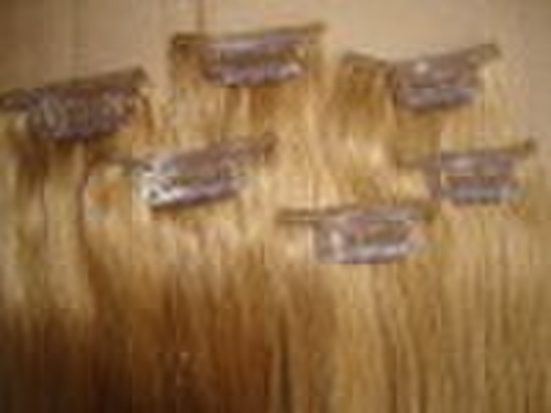 clip on human hair extension