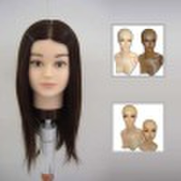 human hair training head