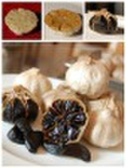 China fermentierten Black Garlic