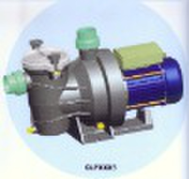 Swimming Pool Pump