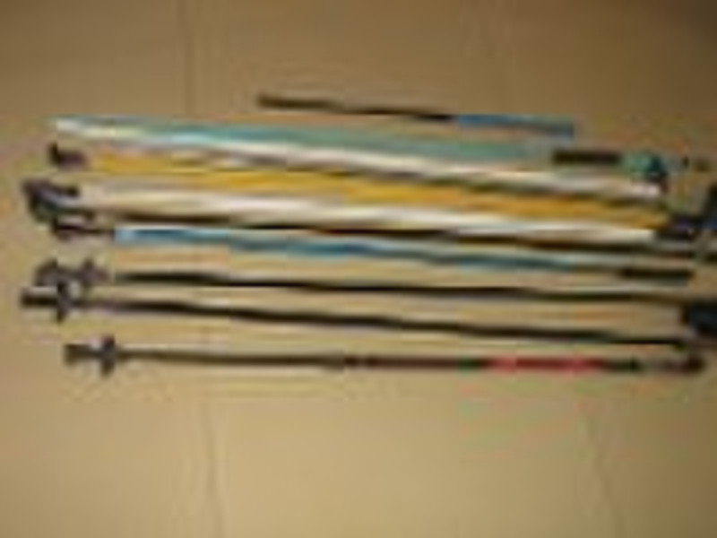 ski pole