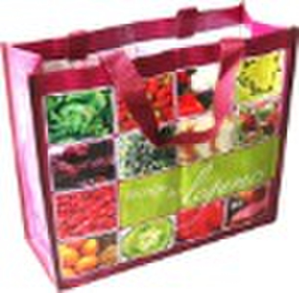 New Design pp woven shopping bag(HC-G0227)