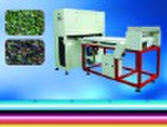 CCD Sorter for dehydrated vegetables