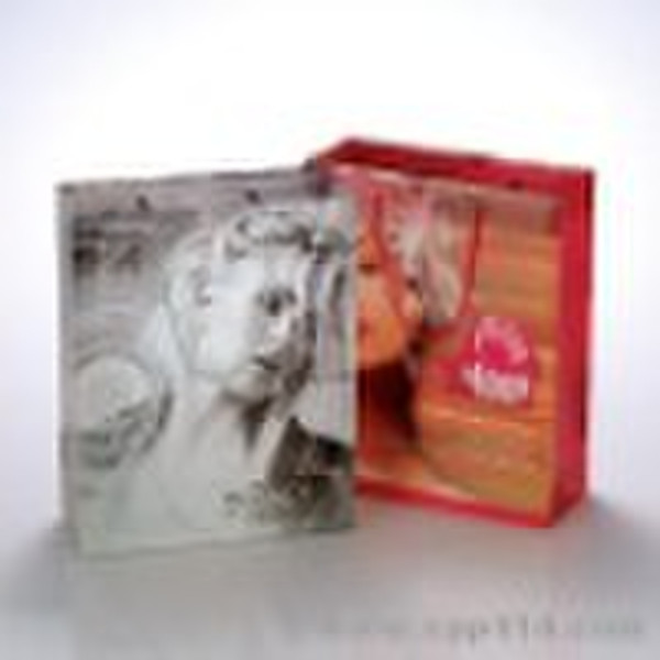 fashion non-wowen shopping bag