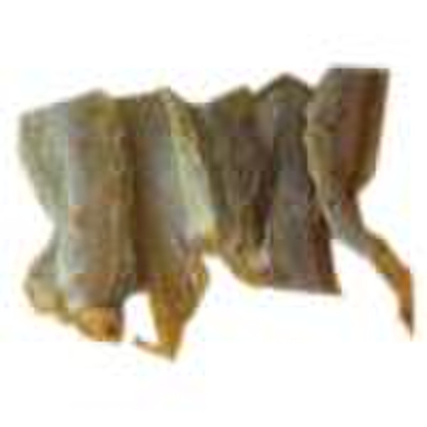 Dried Bluewhiting Fish Fillet