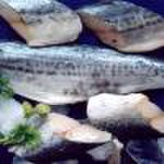 Frozen Horse Mackerel