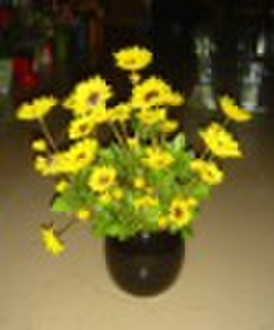 Flower Pot