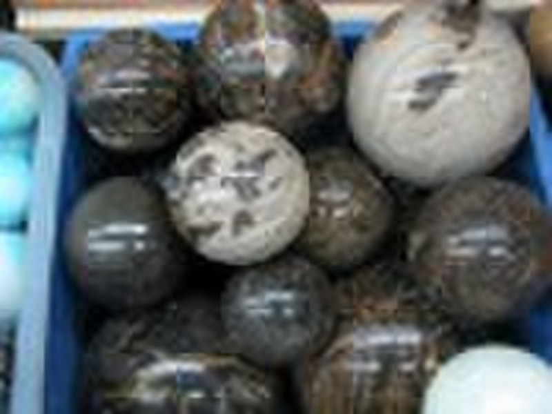 fossil wood stone ball