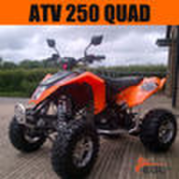 2010 Лучшие новые ЕЭС ATV (Quad)