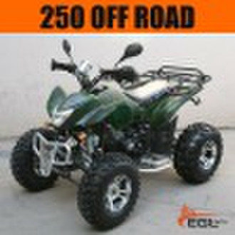 250cc Water Cooled ATV with EEC