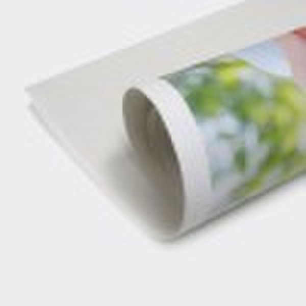 digital printing canvas