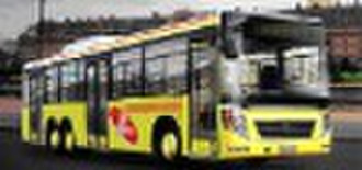 CNG City Bus