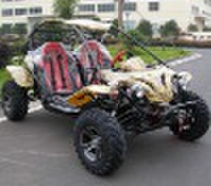 EWG und EPA GO KART, Dune Buggy 500CC